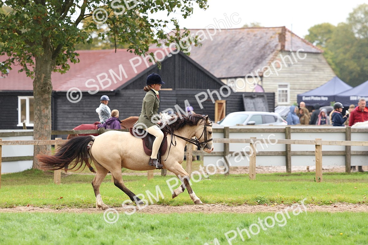 SBM_69636 - S62 - Mountain & Moorland Ridden Large Breeds