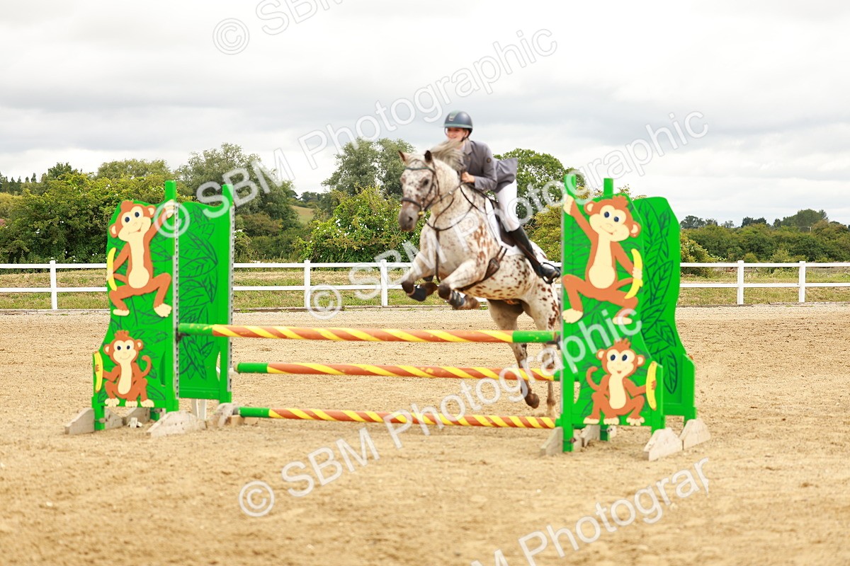 SBM_001753 - Class 9 - Senior British Novice - 90cm
