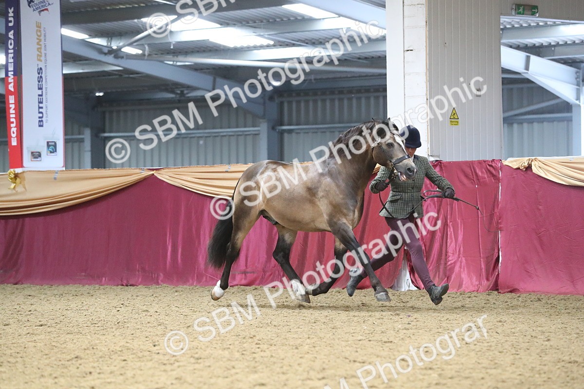 SBM_17171 - M&M Supreme Final Champ