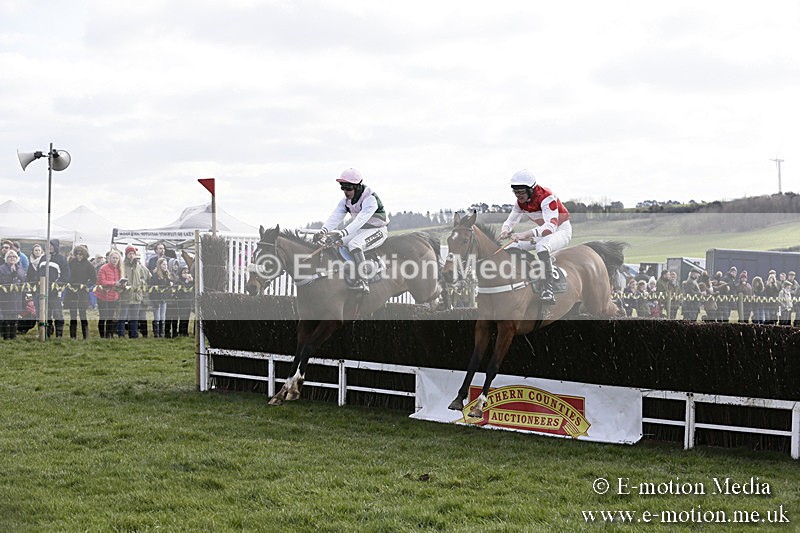 PtP 040218 57 - Point-to-Point Milborne St Andrew 04/02/18