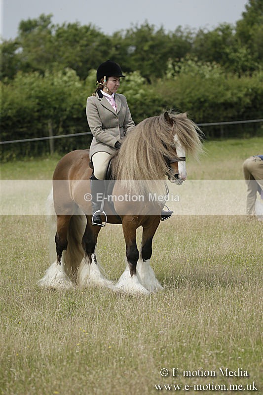 B230619-0457 - Bourne Valley Riding Club Summer Show 23/06/19