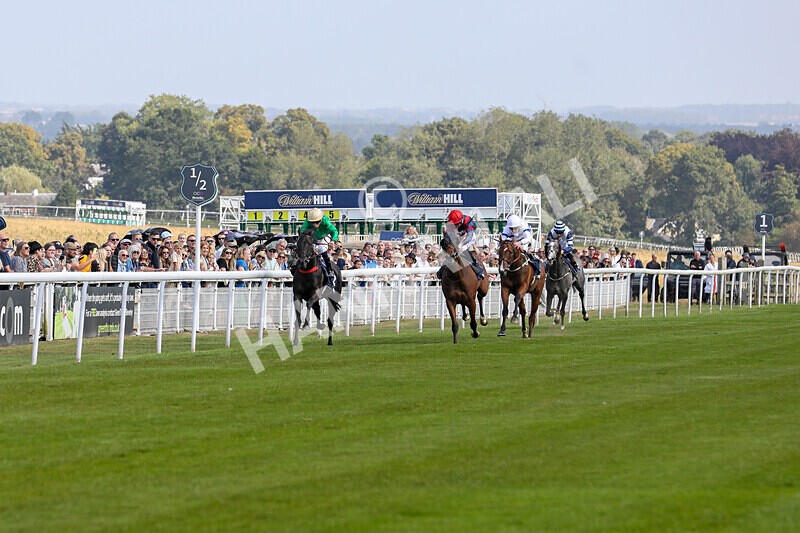 310824-Race 1-Quietness-0950 - Race 1