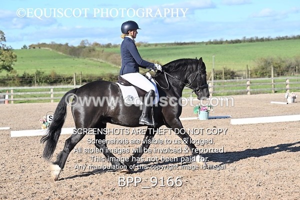 BPP_9166 - LONG ARENA