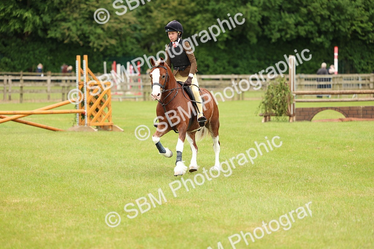 SBM_10354 - Class 44-45 - LIHS BSPS Open Nursery and Cradle Stakes