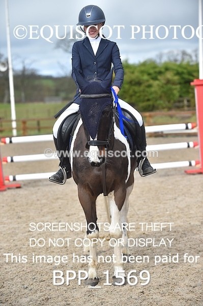 BPP_1569 - CLASS 7 Pony Discovery / 90cm Open