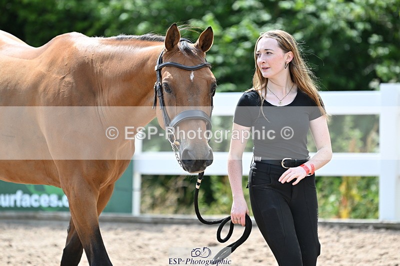 240717A-144617-02277 - Trot Up 2pm to 3pm - This folder is not in time order