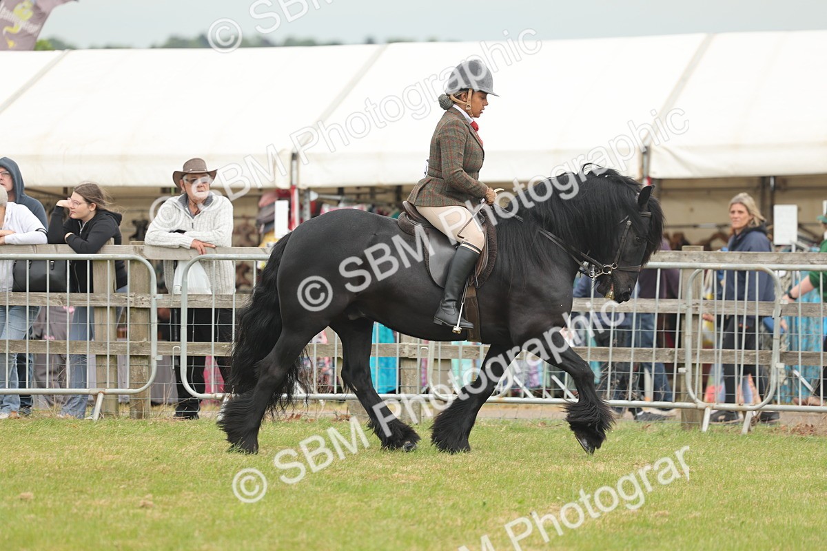 SBM_08933 - Class 78-80 - Ridden M&M Non Welsh Ponies
