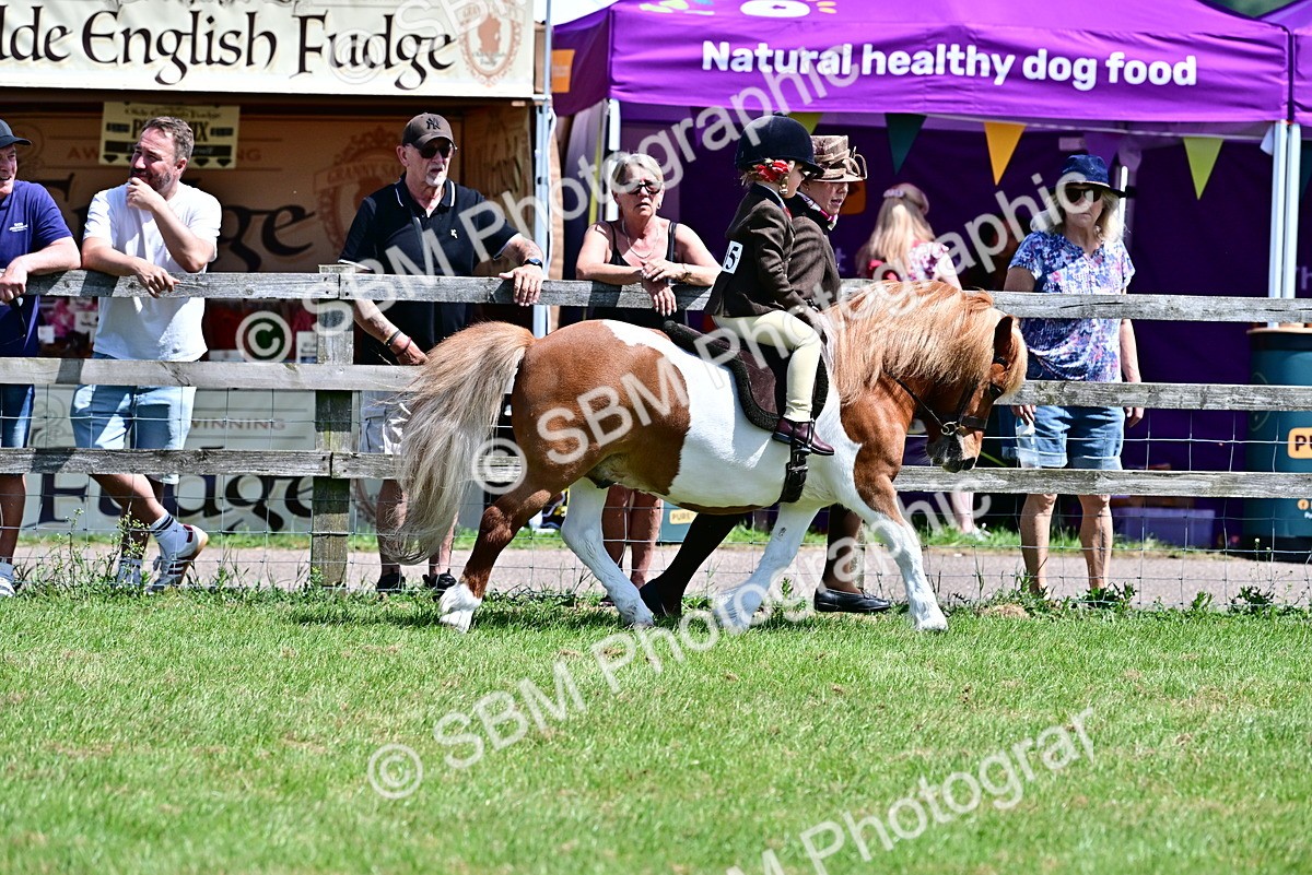 SBM_05749 - Class 59-60 - TSR M&M  Lear Rein and First Ridden Amateur of the year