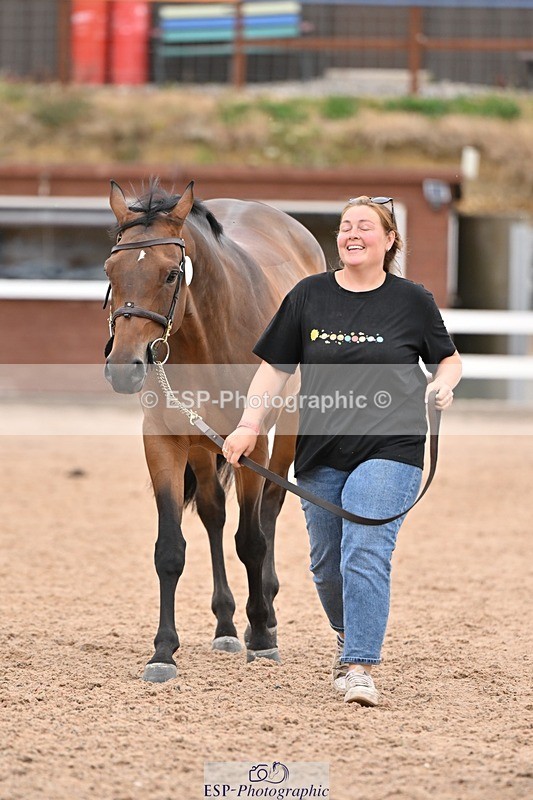 250716-160740-02425 - Trot Up 3.30 to 4.30