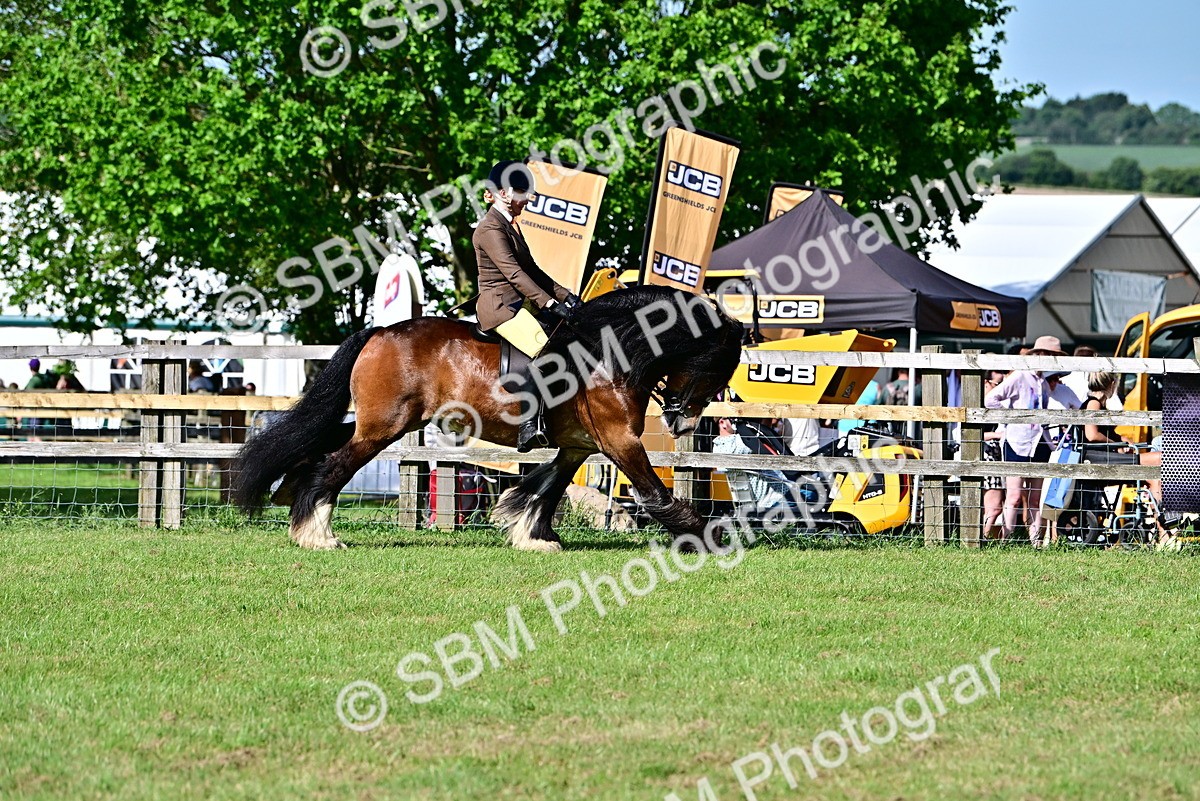 SBM_09363 - Class 63-65 - Traditional Gypsy Cobs In Hand & Ridden