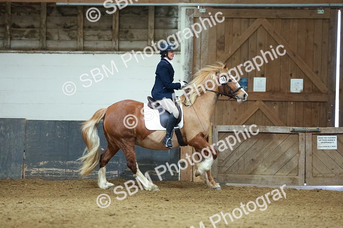 SBM_003640 - Novice 2