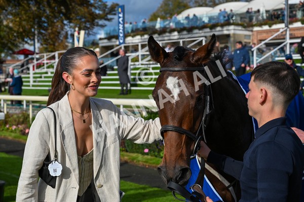 141023-Race 4-Colorada Dancer-9042 - Race 4 3.05pm Coral Racing Club EBF Maiden Stakes