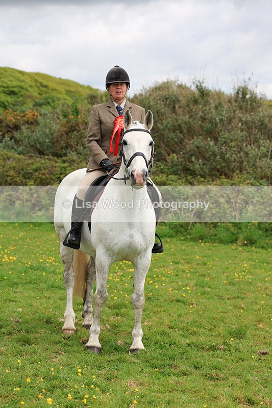 3E7A1357 - Class 7: Ridden Hunter Type