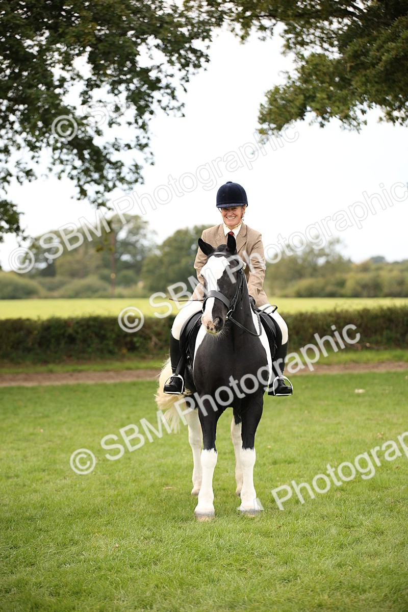 SBM_72362 - S67 - Show Cob Ridden