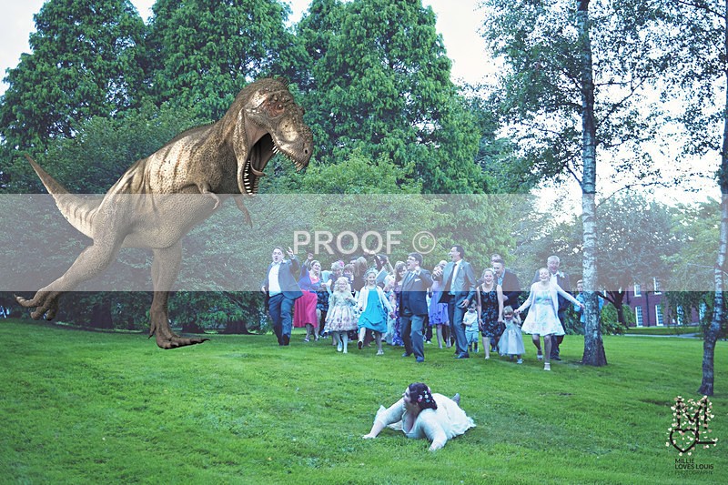 Phil  Carrie Previews Millie Loves Louis Photography 109 - Weddings