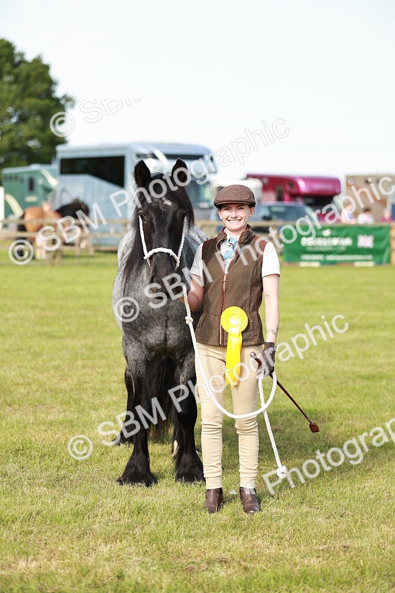 SBM_00766 - Class 14-23 - Mountain & Moorland In Hand Non Welsh