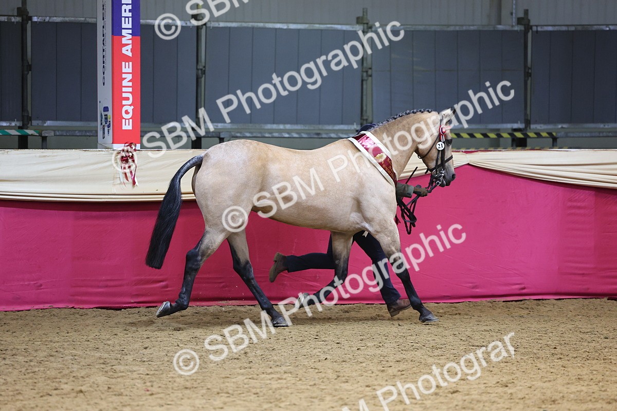 SBM_21205 - Class 902 - Supreme Final IH Veteran