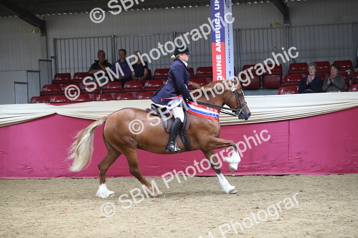 SBM_17239 - M&M Supreme Final Champ