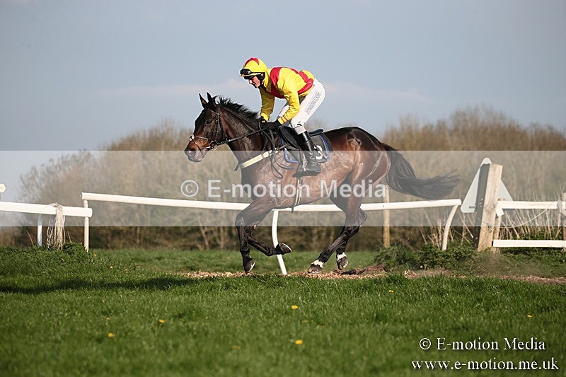 PtP 210418 547 - South & West Wilts Point-to-Point Larkhill 21/04/18
