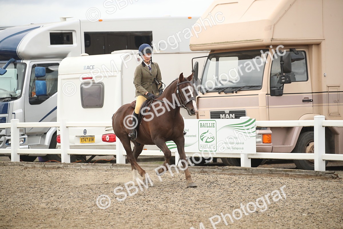 SBM_17966 - Class 508b - Working Veteran 70cm (20+)