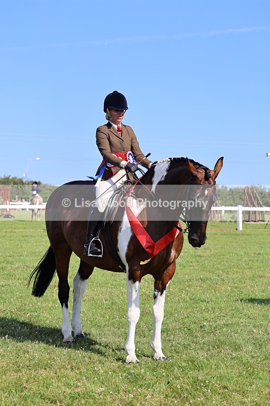 IMG_1678 - Skewbald and Piebald Ridden Championship