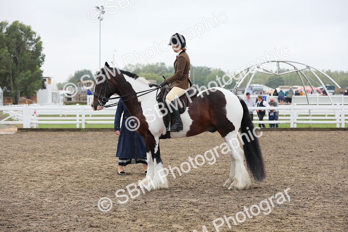 SBM_22307 - Class 807 - Young Rider 11 to 16 Yrs