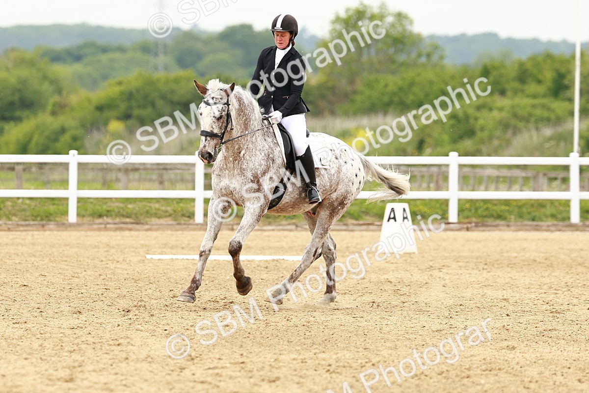 SBM_001274 - Class 7 - Novice 5