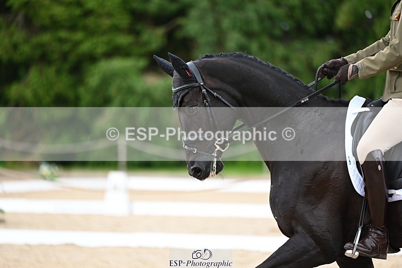 240524-144349-10369 - 534-SWIRLY_TEMPTRESS-Giovanni_Ugolotti