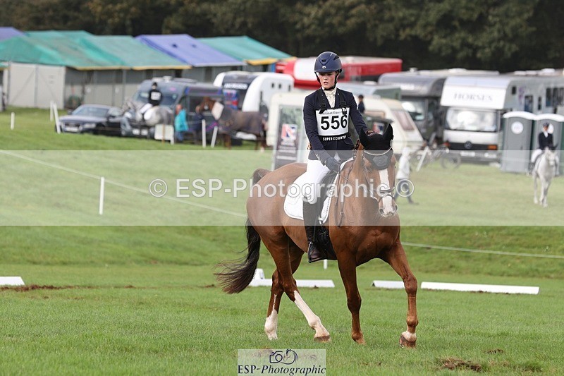 231019-153553-04933 - 556-SHANNONDALE.MOCHA-Lucy.Davies-DR