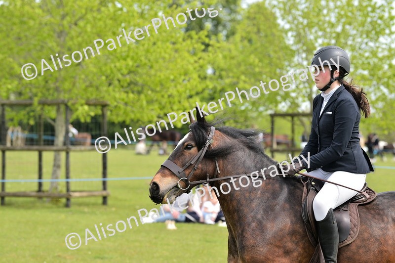 20260426-2437 - Class 21 - Working Hunter Ponies