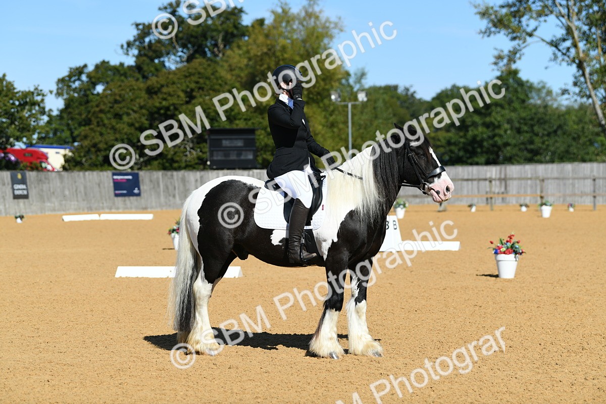 SBM_18231 - D4 - Small Tour Championship - Intro B