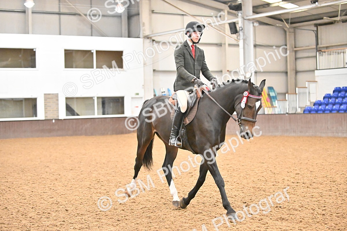 SBM_002390 - Class 22 - BSHA Ridden Hack & Riding Horse