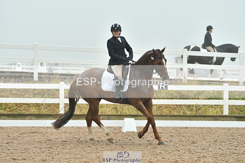 230708A-151004-03002 - Elementary 43