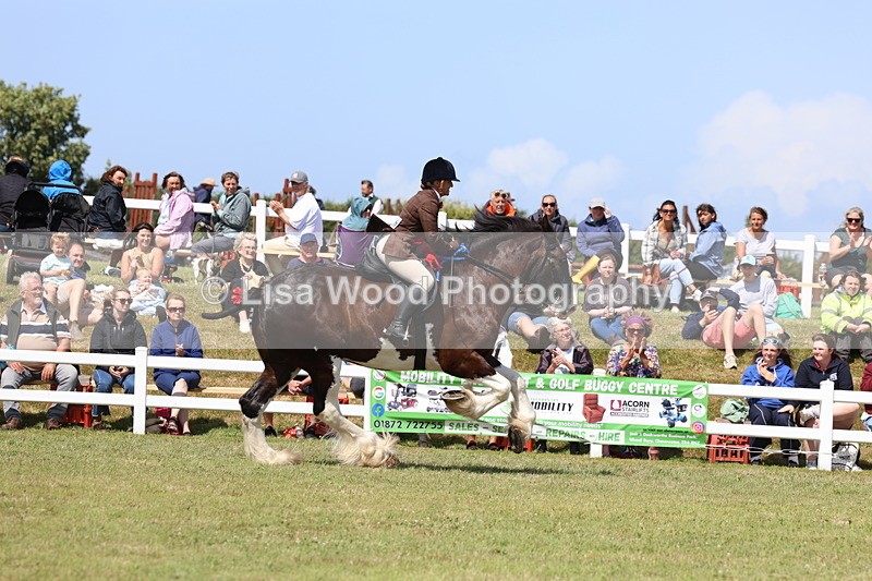 3E7A2927 - Class 13: Heavy Horse Ridden