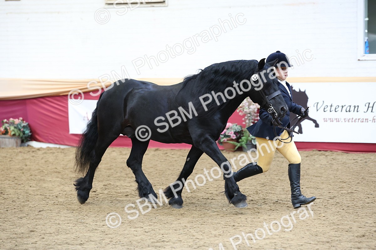 SBM_24079 - Class 905 - Supreme Final - Ridden Veteran