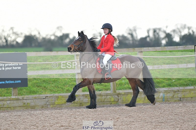 240211A-141412-03313 - Stepping Stones