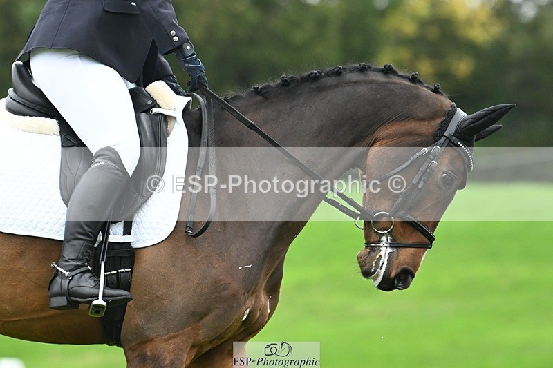 241024-140848-04407 - 413-Sophie.Westmore-CALCOURT.LEONARDO