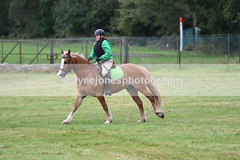 WJ7_7823 - 40cm Time 10:49 to 11:18