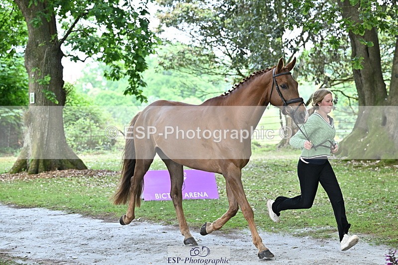 250521A-144134-00170 - A-053-Gemma.Watts-RUBIN.MOON.SB