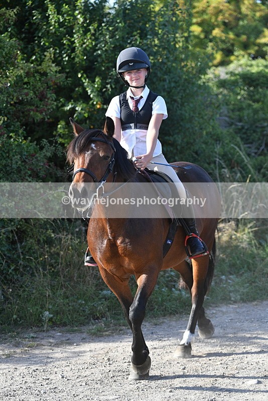 WJ5_5052 - Walk out with the hounds