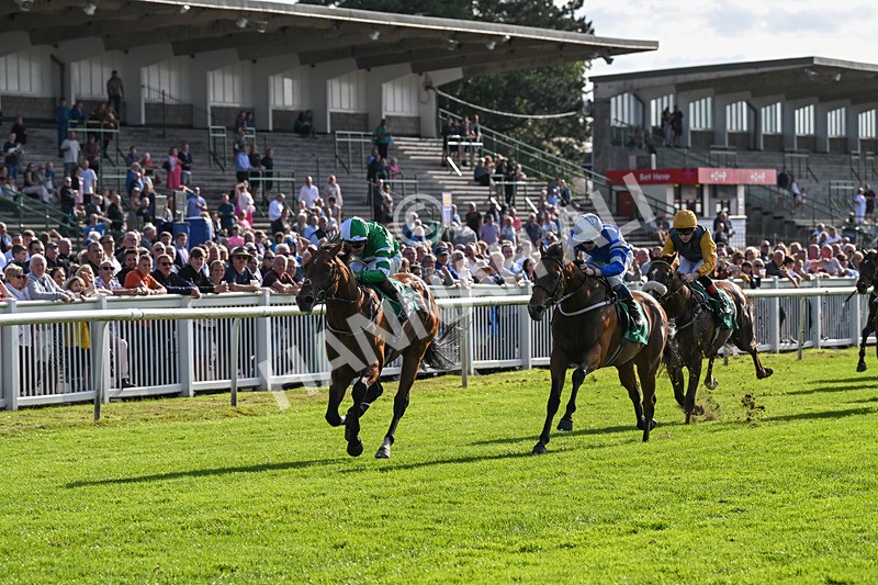 160824-Race 2-Dark Cloud Rising-8913 - Race 2