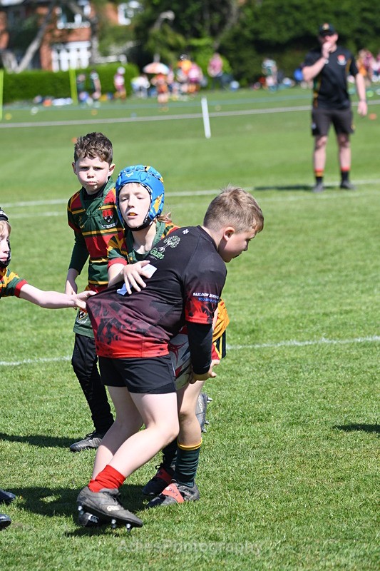  - Selby Rugby Festival 2025