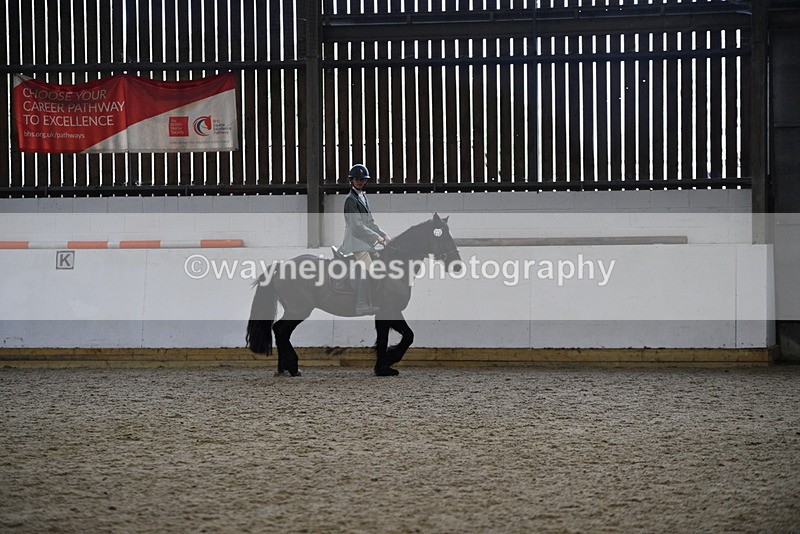 WJ5_7890 - Class 13 Ridden Part Breed