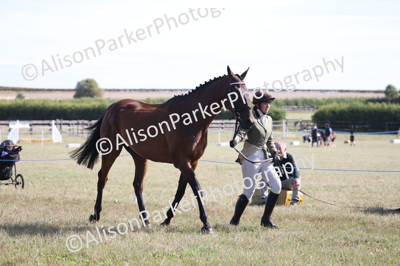 20260906-0708 - Class 22 - Ex Racehorse