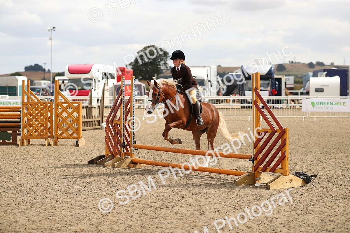 SBM_04735 - Class 46b Style & Performance 50cm (20+)