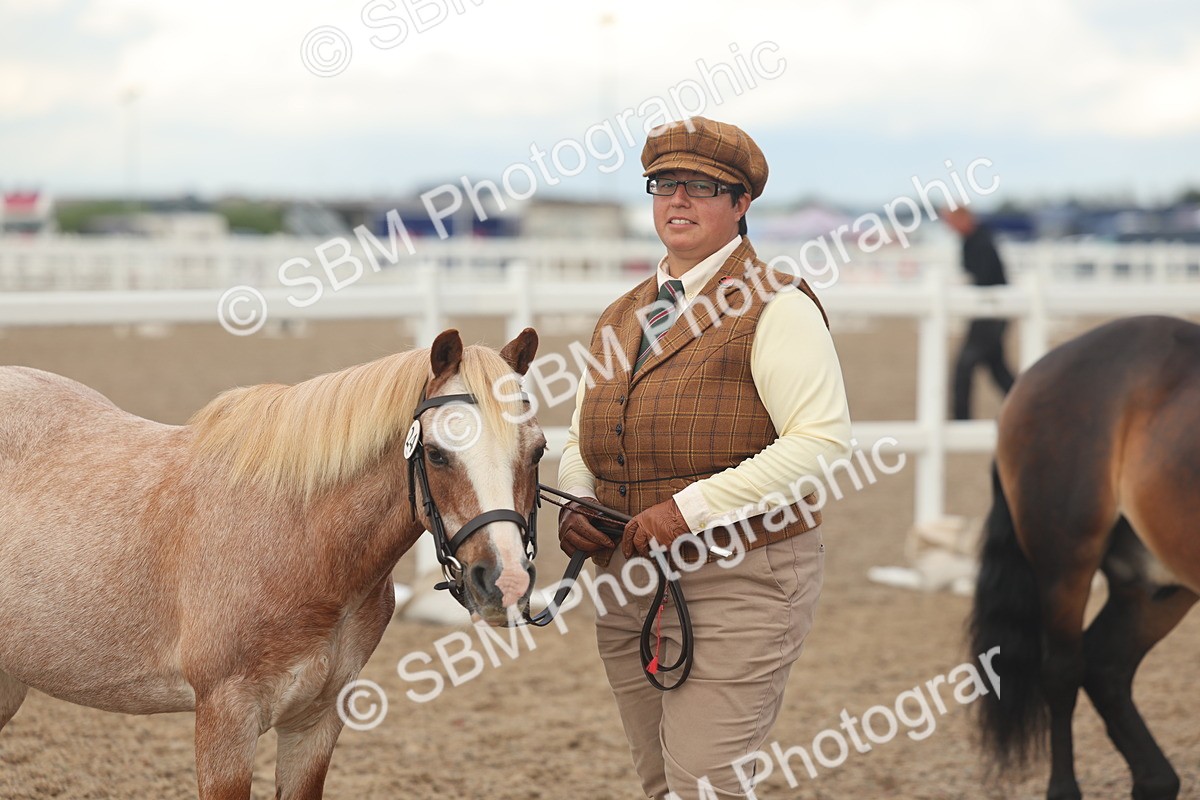 SBM_08533 - Class 29 - IH Veteran Pony