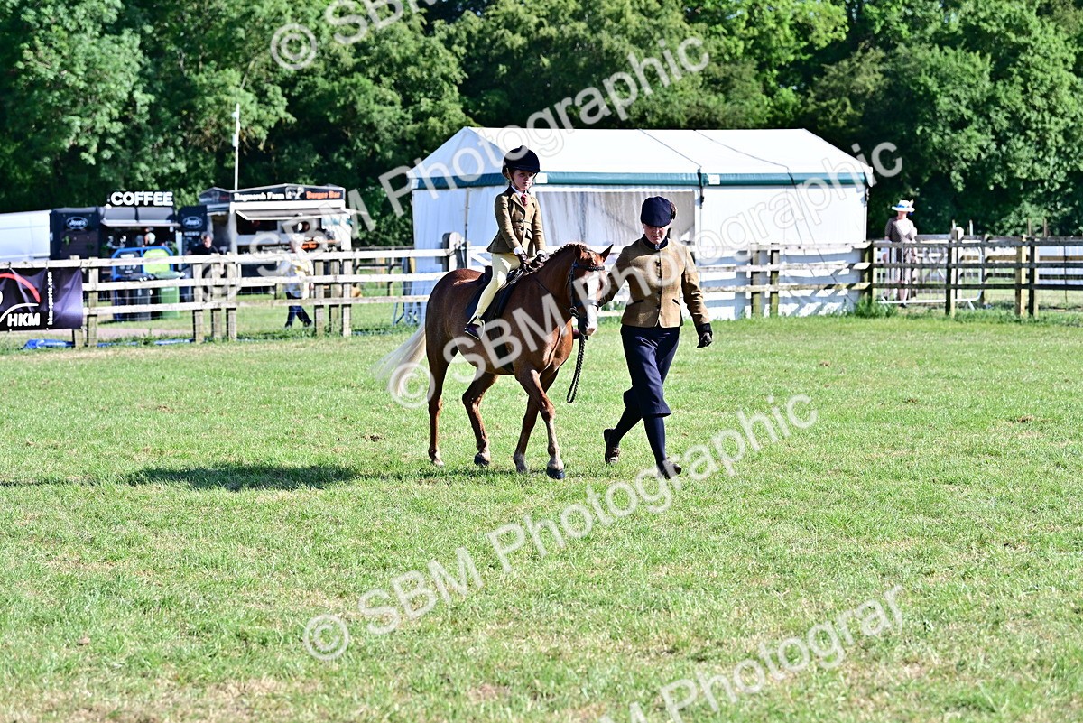 SBM_19814 - Class 103 - 105 - TSR Ridden Amateur of the Year Plaited Ponies