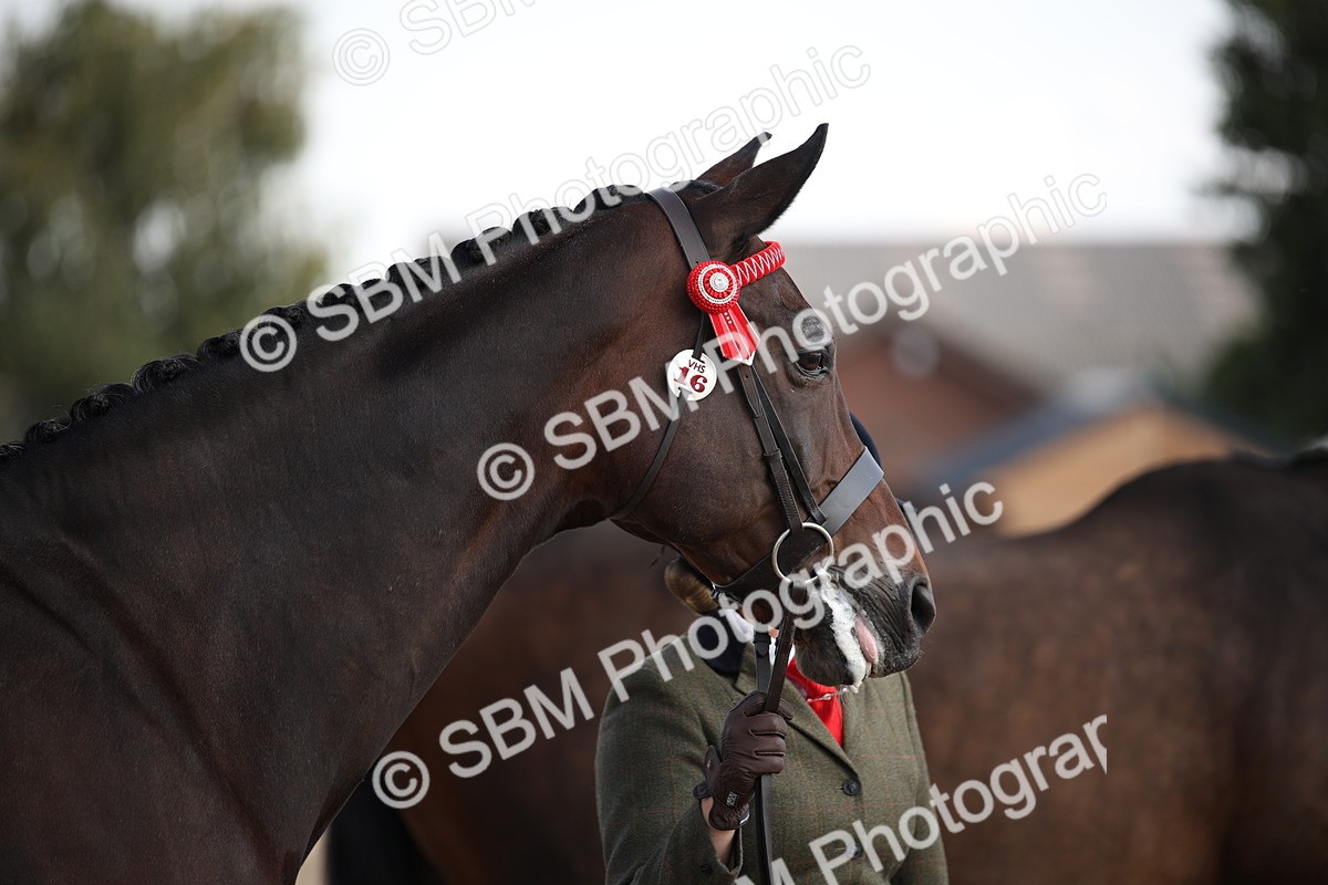 SBM_07097 - Class 25 IH Foreign Breeds- Pure bred