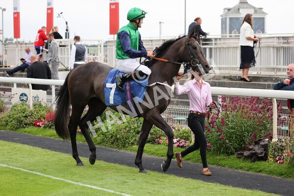 yr24072021r7-32 - Race 7 5.35pm The Sporting Life Fast Results Stakes