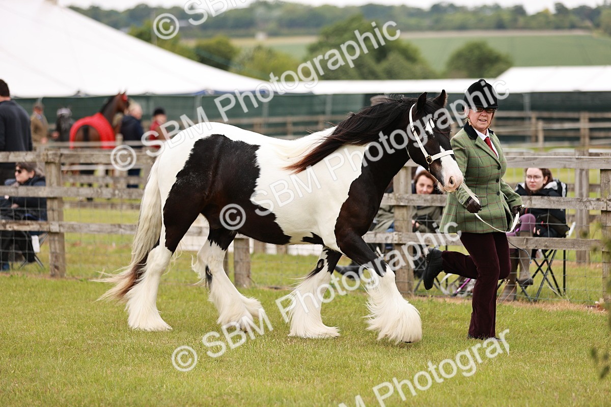SBM_05961 - Class 39-41 TGCA In Hand and Ridden